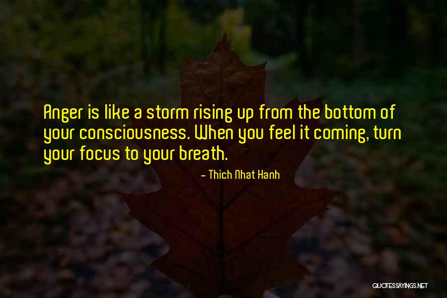 Coming Storm Quotes By Thich Nhat Hanh Coming Storm Quotes By Thich Nhat Hanh