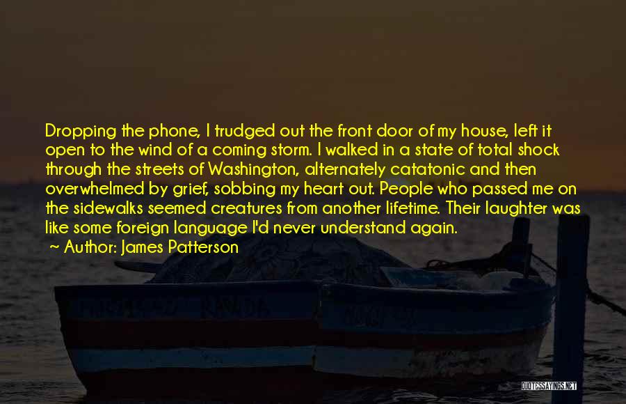 Coming Through The Storm Quotes By James Patterson