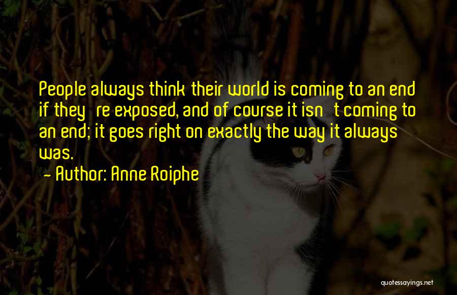 Coming To An End Quotes By Anne Roiphe