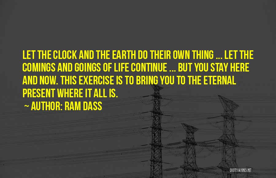 Comings And Goings Quotes By Ram Dass