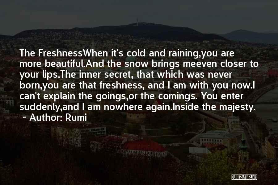 Comings And Goings Quotes By Rumi