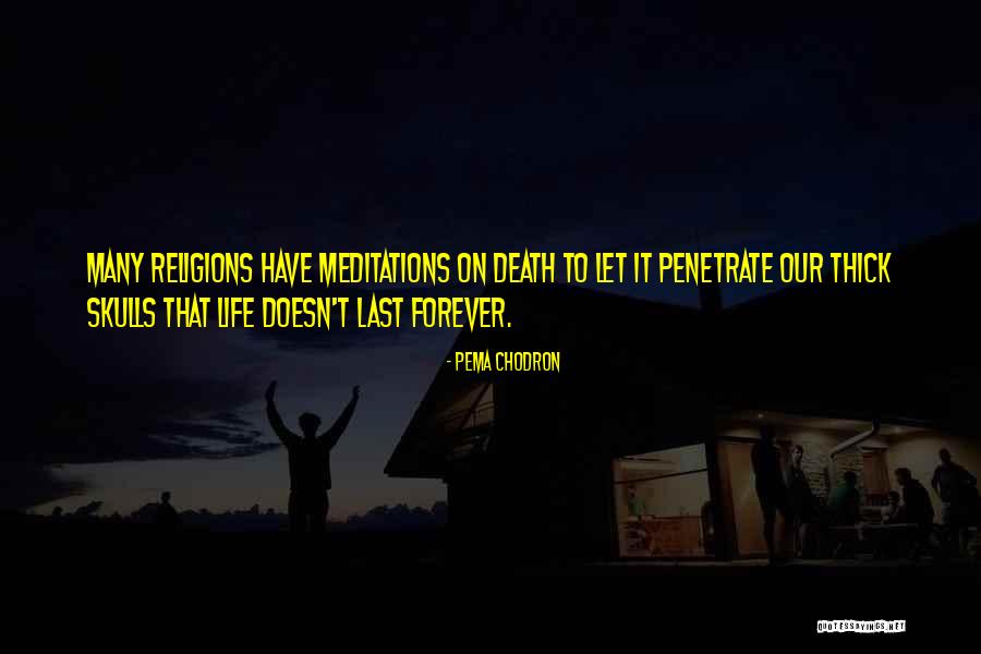 Comisariado Ejidal Quotes By Pema Chodron Comisariado Ejidal Quotes By Pema Chodron