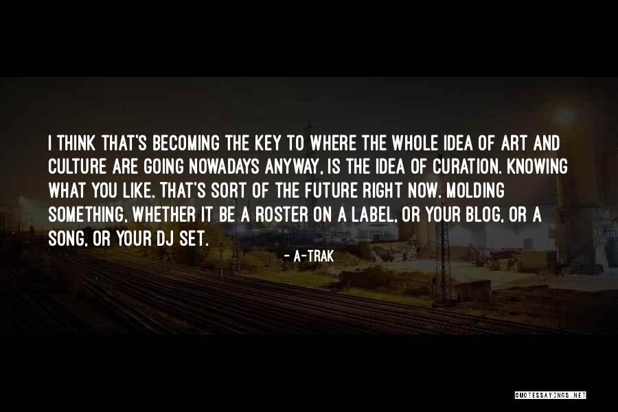Comlog Westpac Quotes By A-Trak Comlog Westpac Quotes By A-Trak