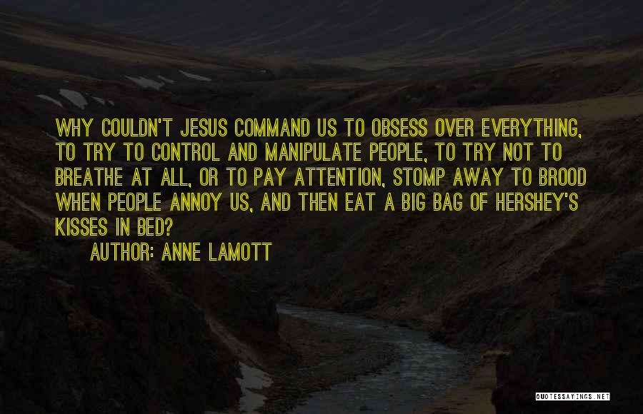 Command And Control Quotes By Anne Lamott