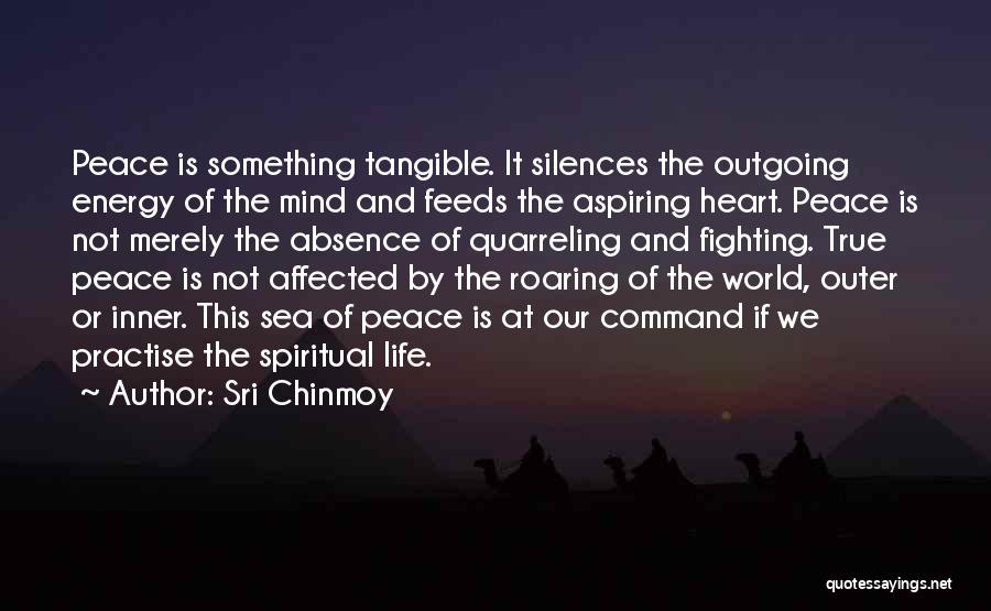 Command At Sea Quotes By Sri Chinmoy