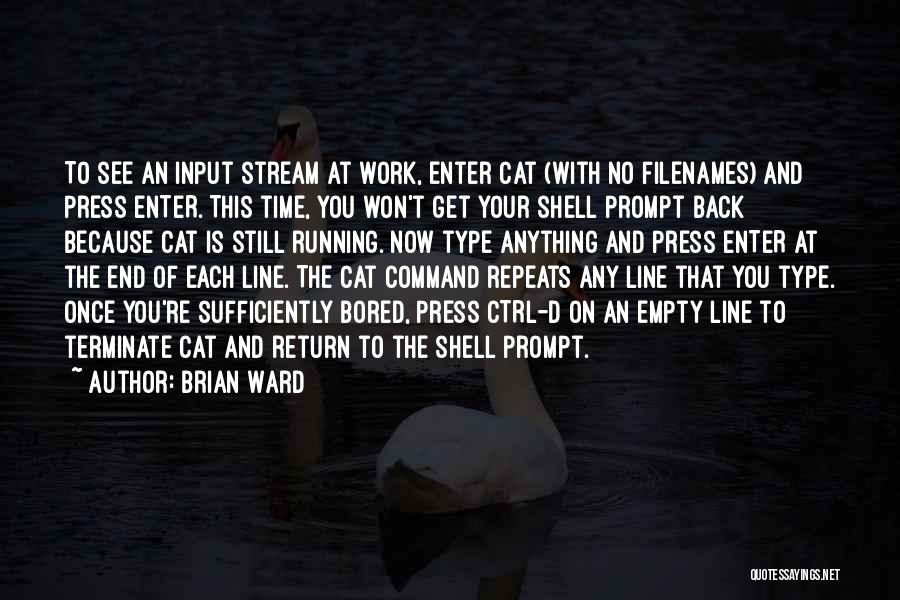 Command Prompt Quotes By Brian Ward