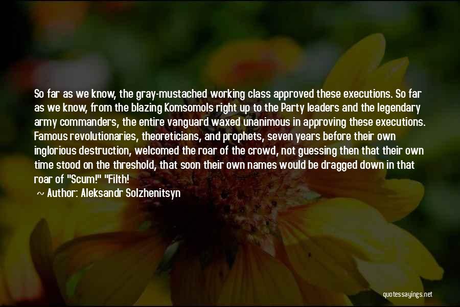 Commanders Quotes By Aleksandr Solzhenitsyn