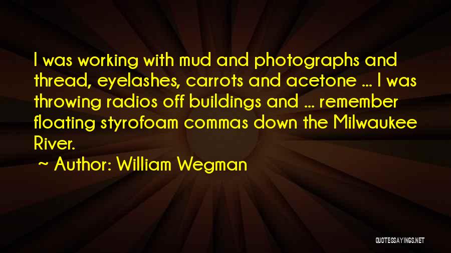 Commas Quotes By William Wegman