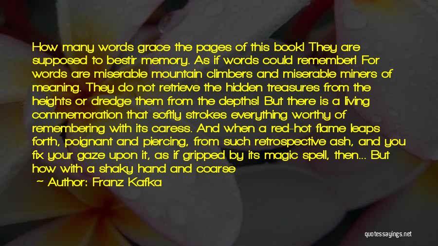 Commemoration Quotes By Franz Kafka