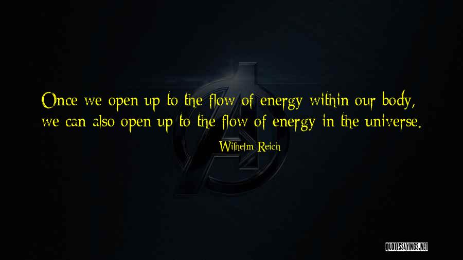 Commentaries On Matthew Quotes By Wilhelm Reich