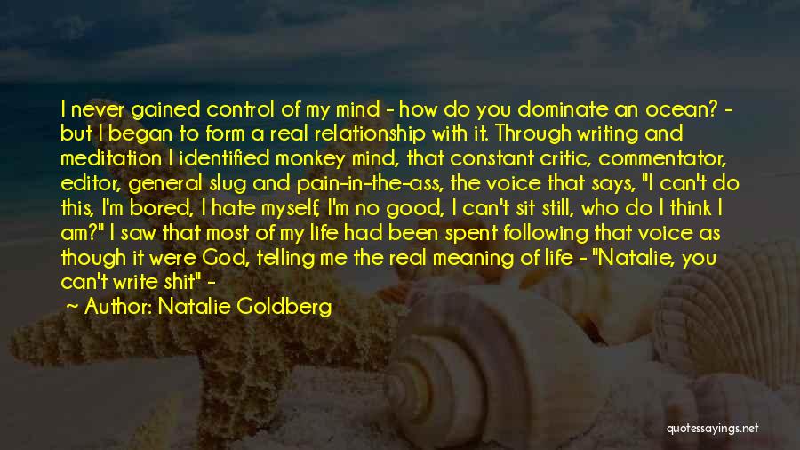 Commentator Quotes By Natalie Goldberg