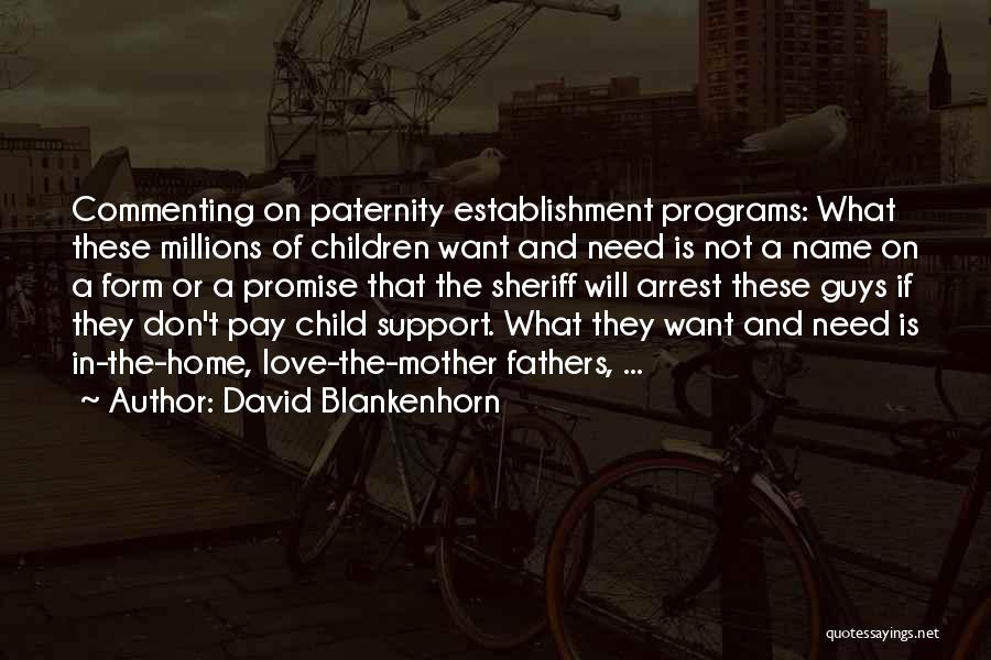 Commenting Quotes By David Blankenhorn