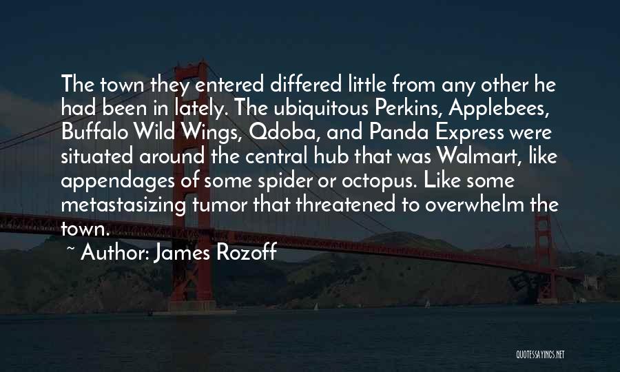 Commercialism Quotes By James Rozoff