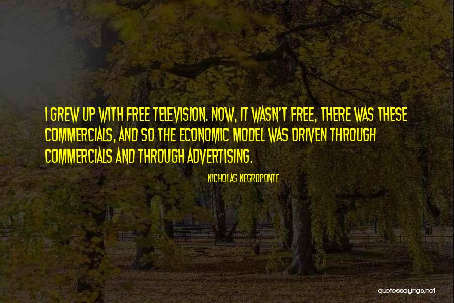 Commercials On Television Quotes By Nicholas Negroponte