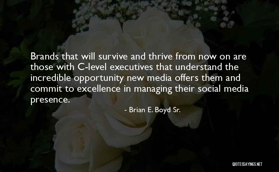 Commit To Excellence Quotes By Brian E. Boyd Sr.