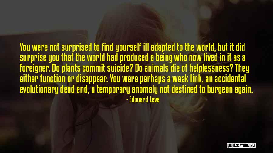 Commit Yourself Quotes By Edouard Leve Commit Yourself Quotes By Edouard Leve