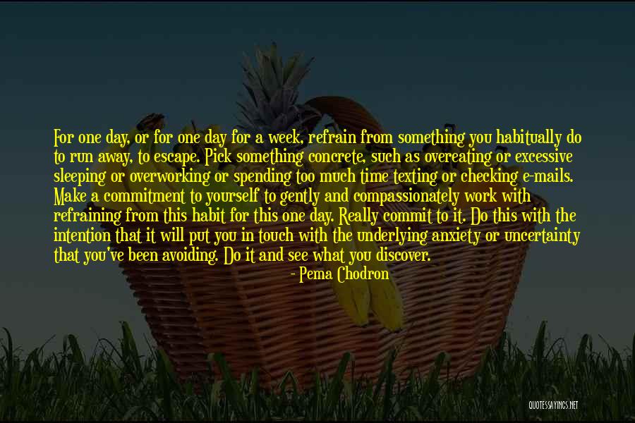 Commitment For Work Quotes By Pema Chodron Commitment For Work Quotes By Pema Chodron