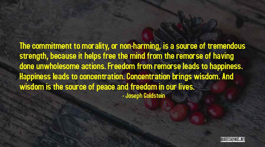 Commitment Inspirational Quotes By Joseph Goldstein