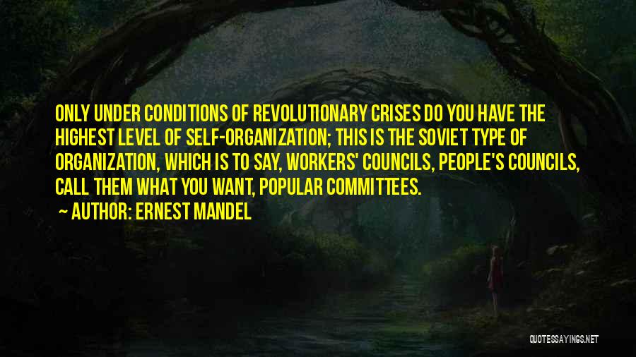 Committees Quotes By Ernest Mandel