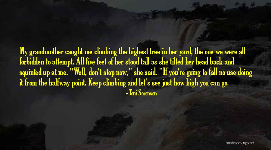 Committunt Quotes By Toni Sorenson Committunt Quotes By Toni Sorenson