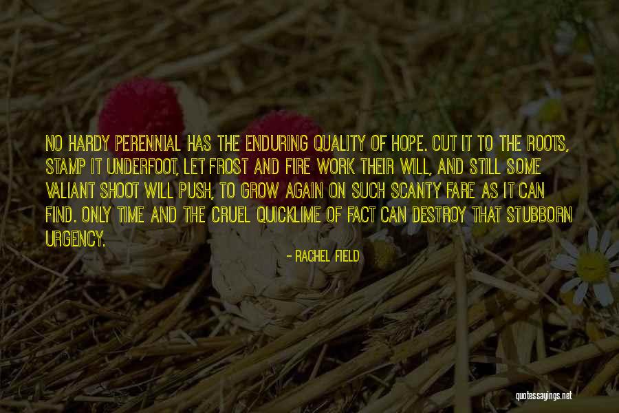 Commodity Market Price Quotes By Rachel Field Commodity Market Price Quotes By Rachel Field