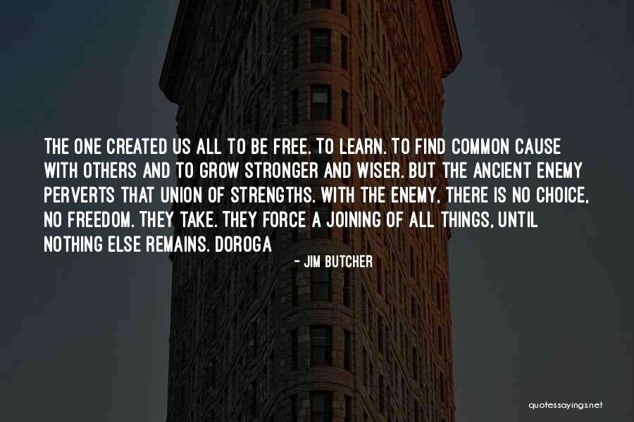 Common Cause Quotes By Jim Butcher Common Cause Quotes By Jim Butcher