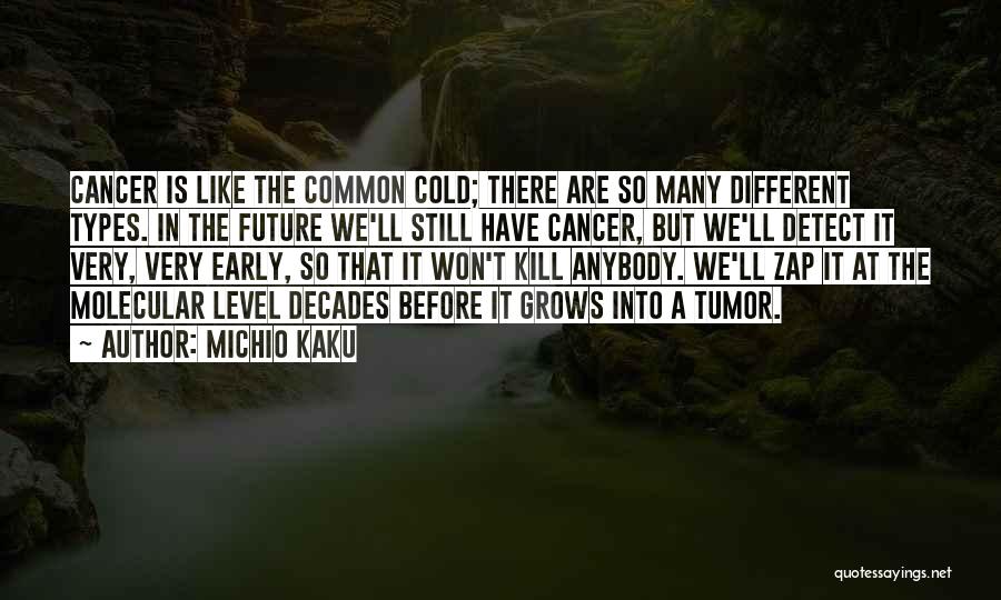 Common Cold Quotes By Michio Kaku