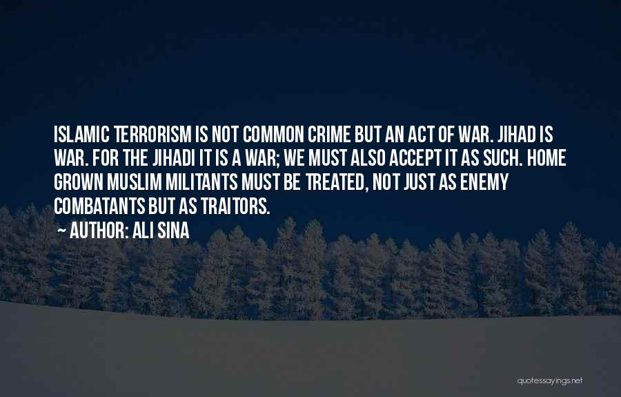 Common Enemy Quotes By Ali Sina