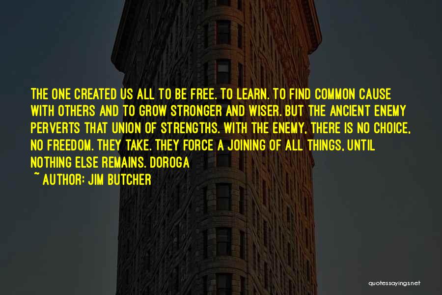 Common Enemy Quotes By Jim Butcher