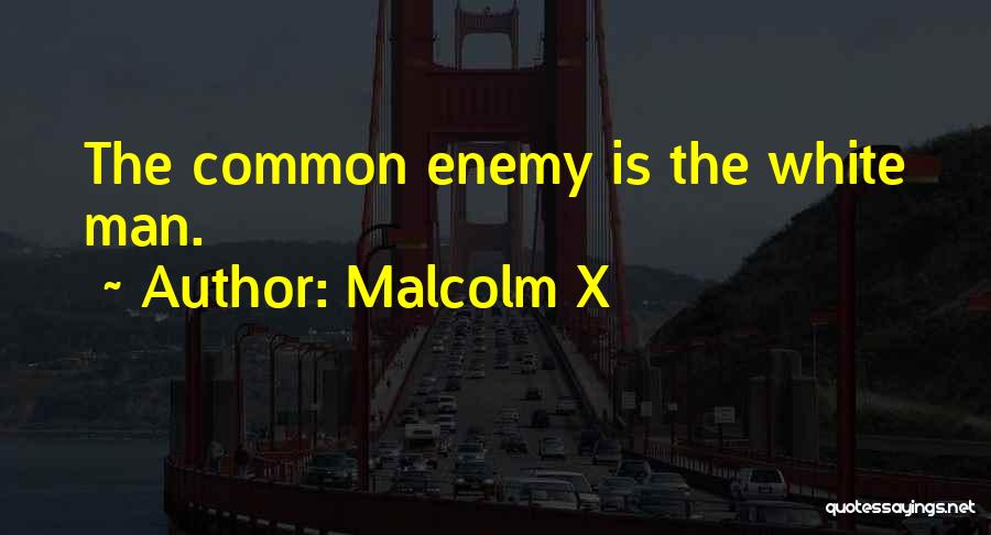 Common Enemy Quotes By Malcolm X