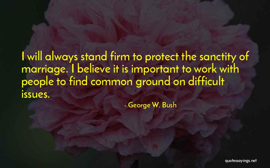 Common Ground Quotes By George W. Bush