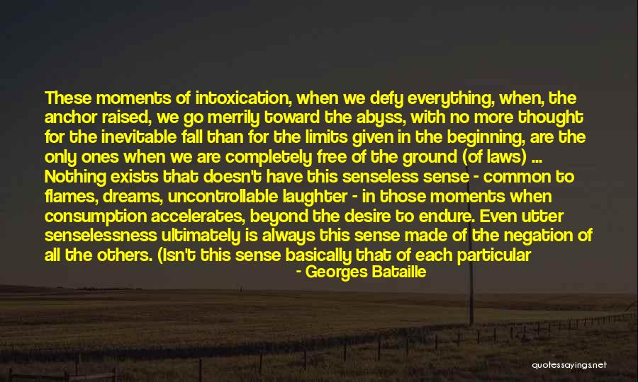 Common Ground Quotes By Georges Bataille