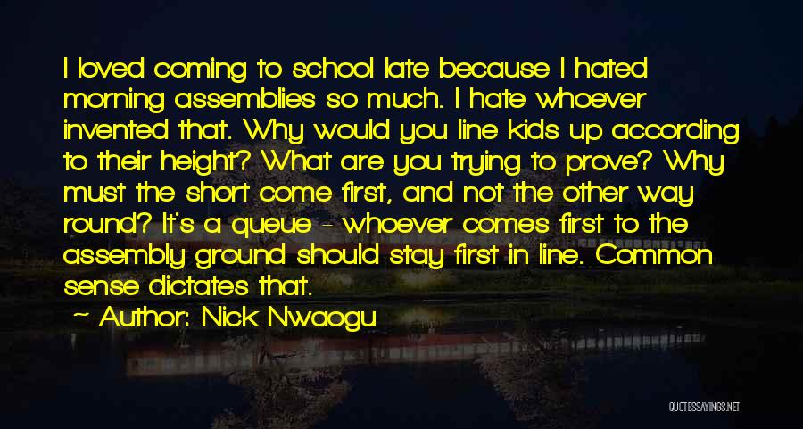 Common Ground Quotes By Nick Nwaogu