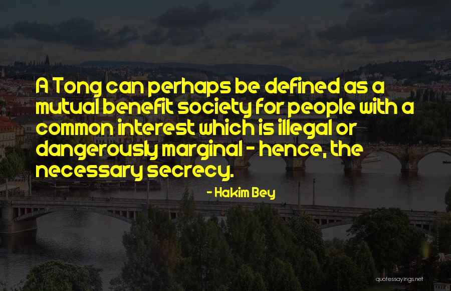 Common Interest Quotes By Hakim Bey Common Interest Quotes By Hakim Bey