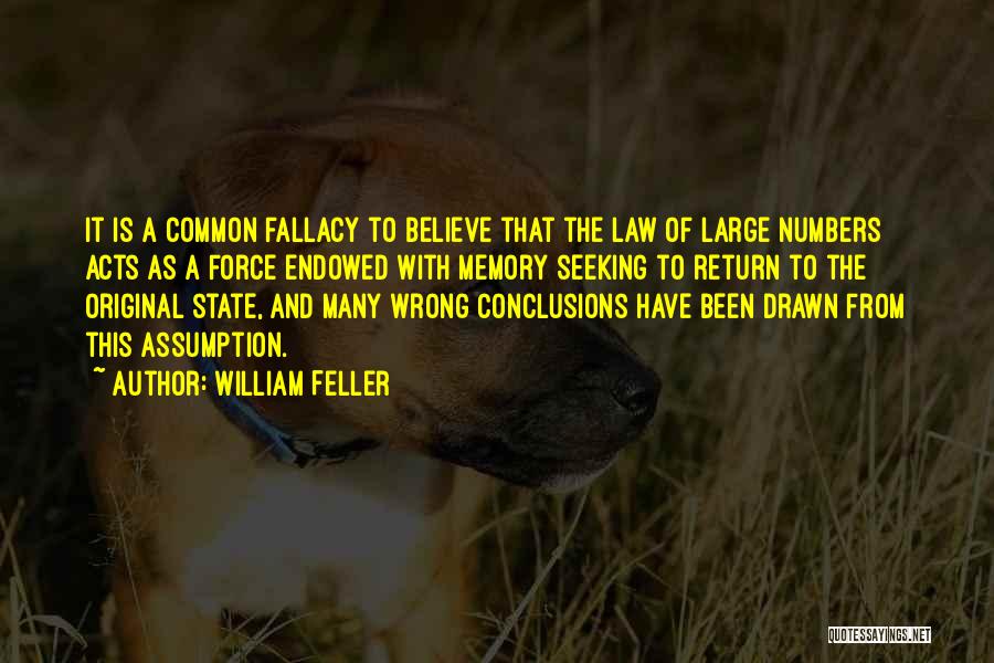 Common Law Quotes By William Feller
