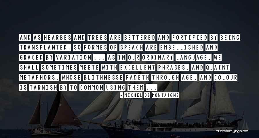 Common Metaphors Quotes By Michel De Montaigne Common Metaphors Quotes By Michel De Montaigne