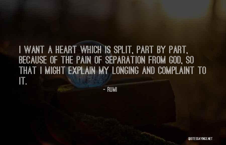 Common Pleasantries Quotes By Rumi Common Pleasantries Quotes By Rumi
