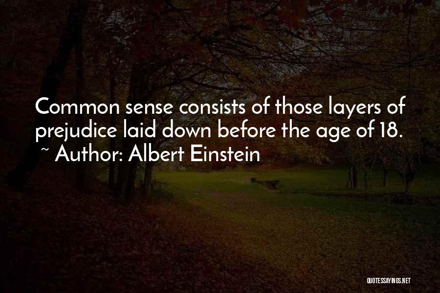 Common Sense Albert Einstein Quotes By Albert Einstein