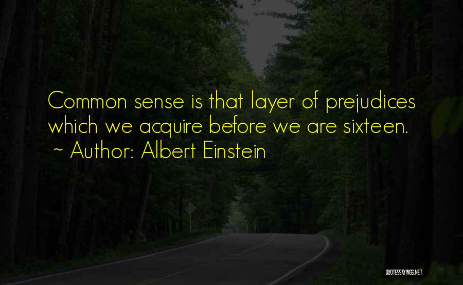 Common Sense Albert Einstein Quotes By Albert Einstein