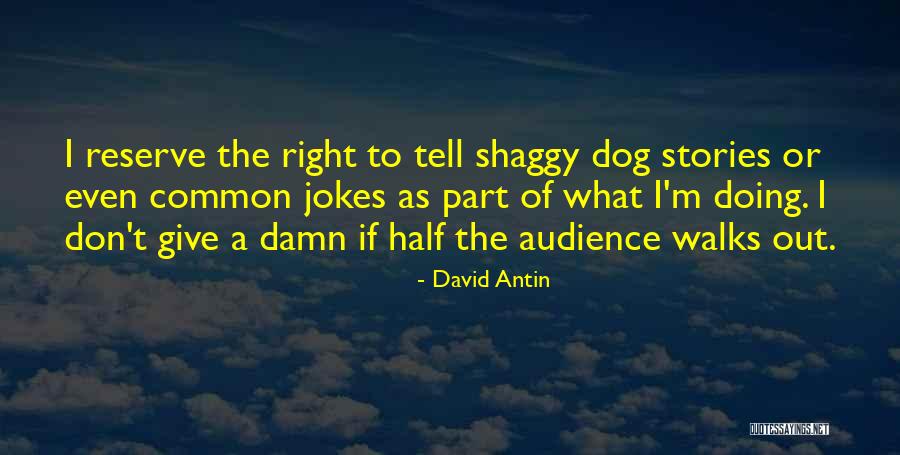 Common Shaggy Quotes By David Antin