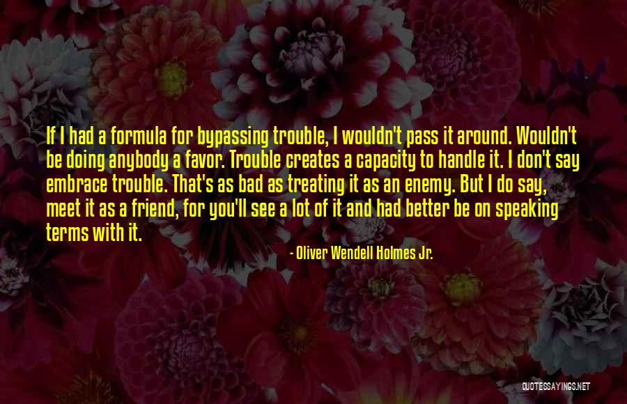 Common Shaggy Quotes By Oliver Wendell Holmes Jr.