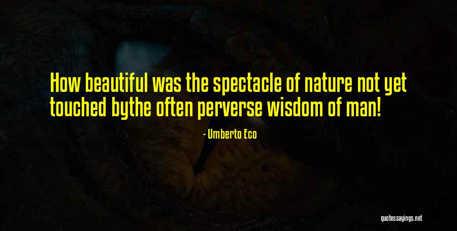 Common Shaggy Quotes By Umberto Eco
