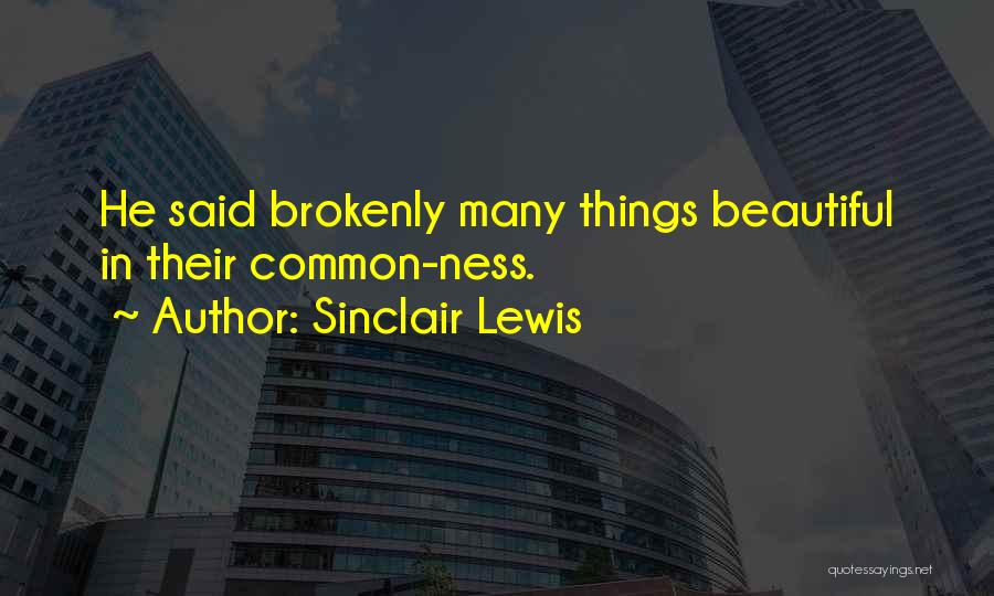 Common Things Quotes By Sinclair Lewis