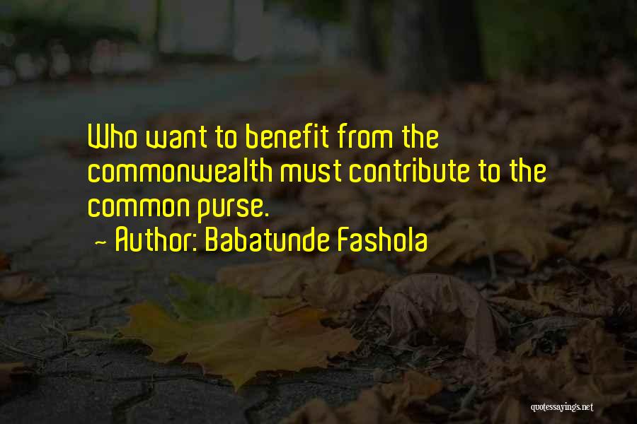 Commonwealth Quotes By Babatunde Fashola