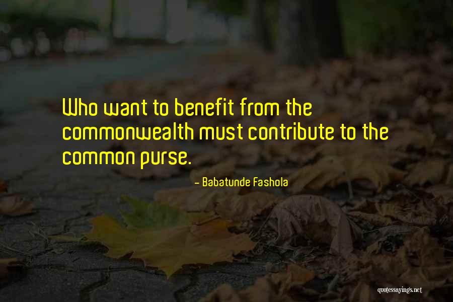 Commonwealth Quotes By Babatunde Fashola Commonwealth Quotes By Babatunde Fashola