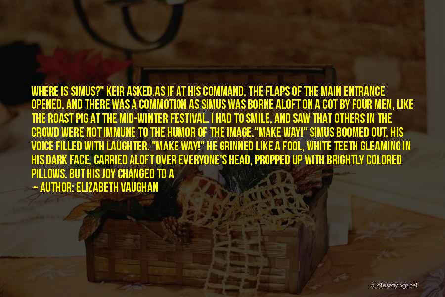 Commotion Quotes By Elizabeth Vaughan