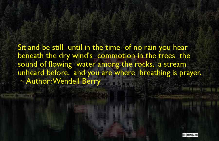 Commotion Quotes By Wendell Berry