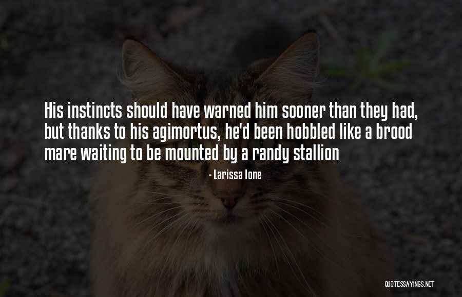 Communicant Member Quotes By Larissa Ione Communicant Member Quotes By Larissa Ione