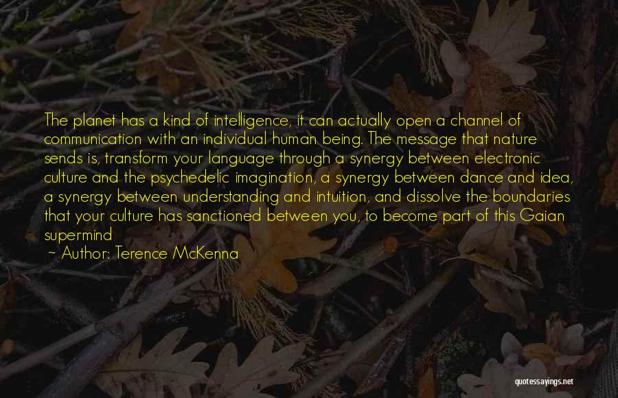 Communication And Culture Quotes By Terence McKenna