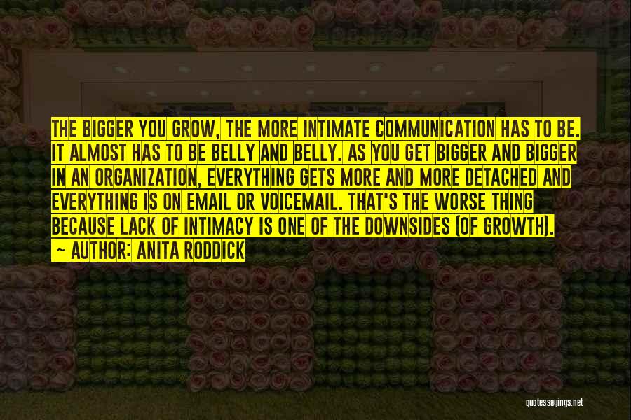 Communication Is Everything Quotes By Anita Roddick